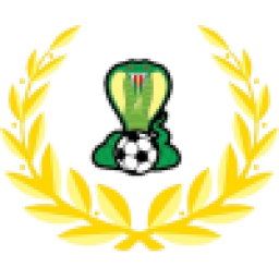 南阿德萊德黑豹后備隊(duì)