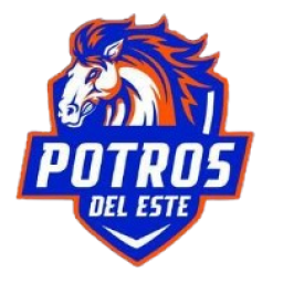 埃斯塔后備隊(duì)