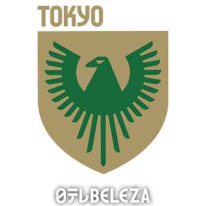 內(nèi)湖公馬女足